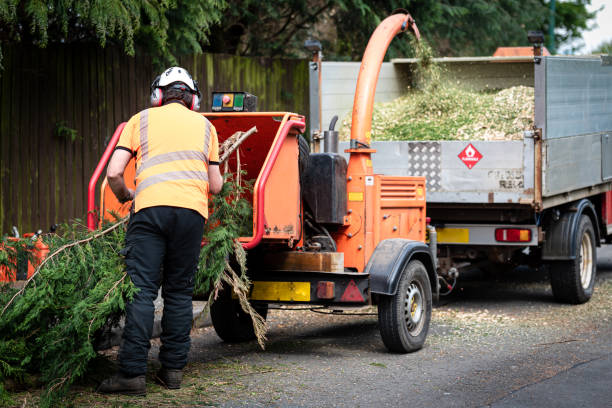 Best Aeration Services  in Blue Ridge, TX